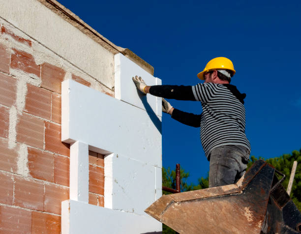 Best Insulation Installation Services in Encantada Ranchito El Calaboz, TX