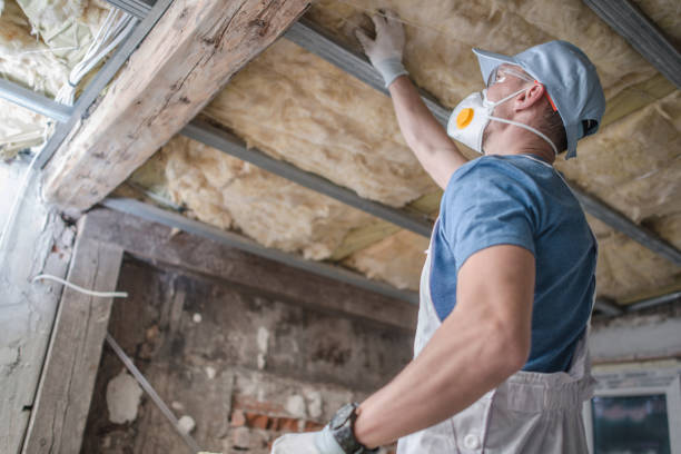 Best Specialty Insulation in Encantada Ranchito El Calaboz, TX
